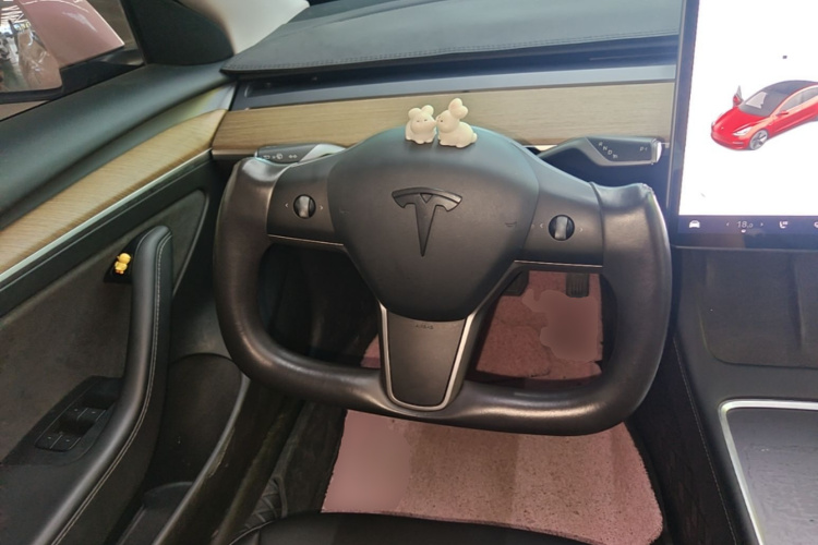 Tesla Model 3 2021 car image #15