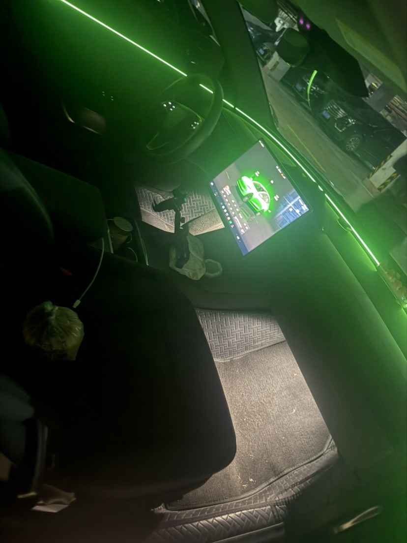 Tesla Model 3 2025 car image #8