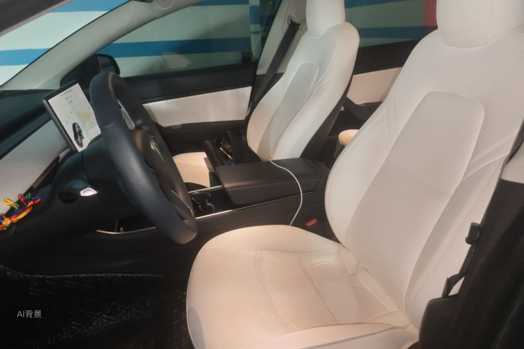 Tesla Model 3 2020 immagine di auto #17
