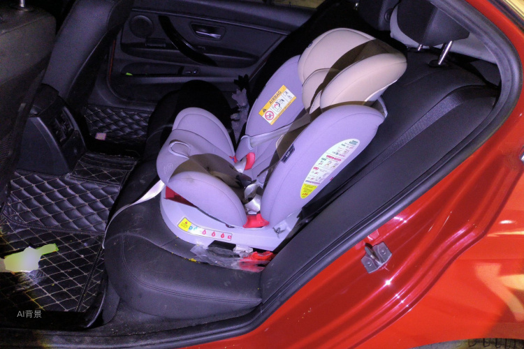 BMW 3 Series 2017 car image #19