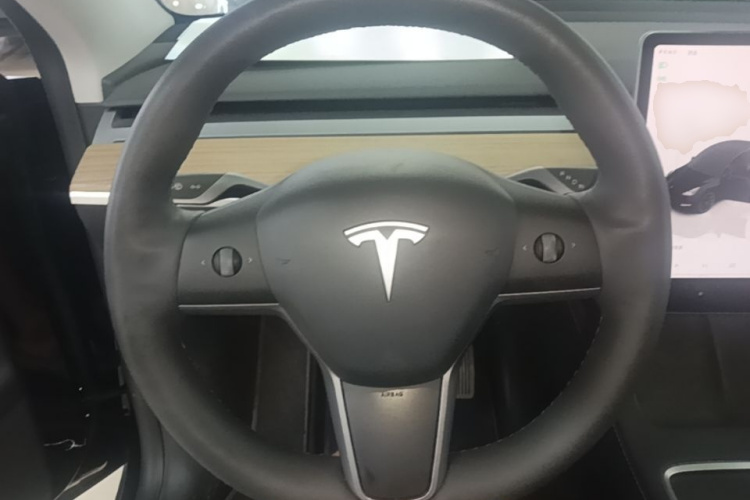Tesla Model Y 2023 immagine di auto #11