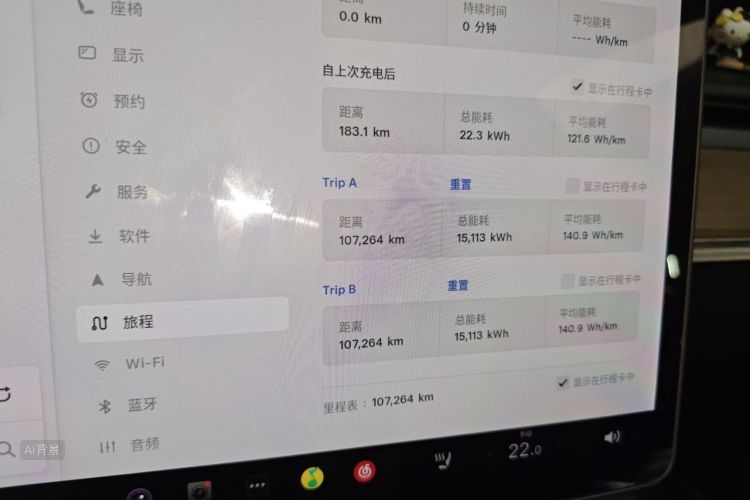 Tesla Model 3 2021 car image #14