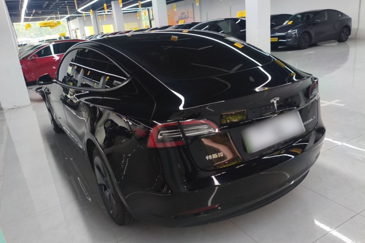 Tesla Model 3 2021 #5 Tesla Model 3 2021 car image #5