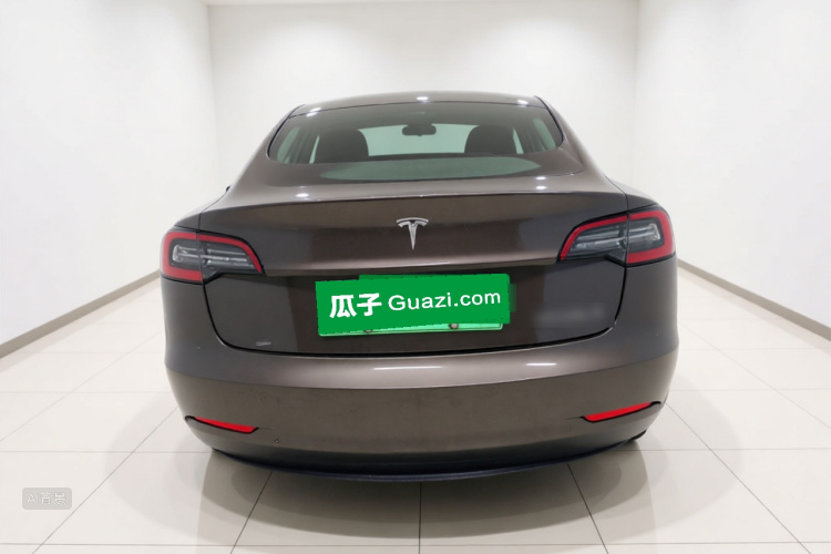 Tesla Model 3 2020 car image #6