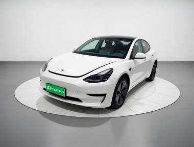 Tesla Model 3 2022 car image 