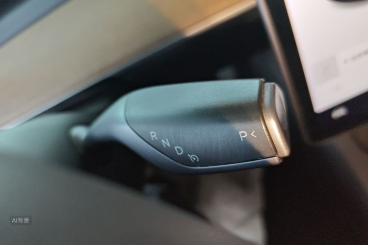 Tesla Model 3 2021 car image #16