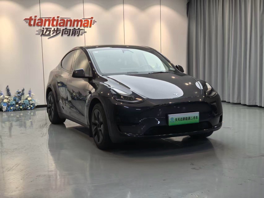 Tesla Model Y 2024 Tesla Model Y 2024 car image