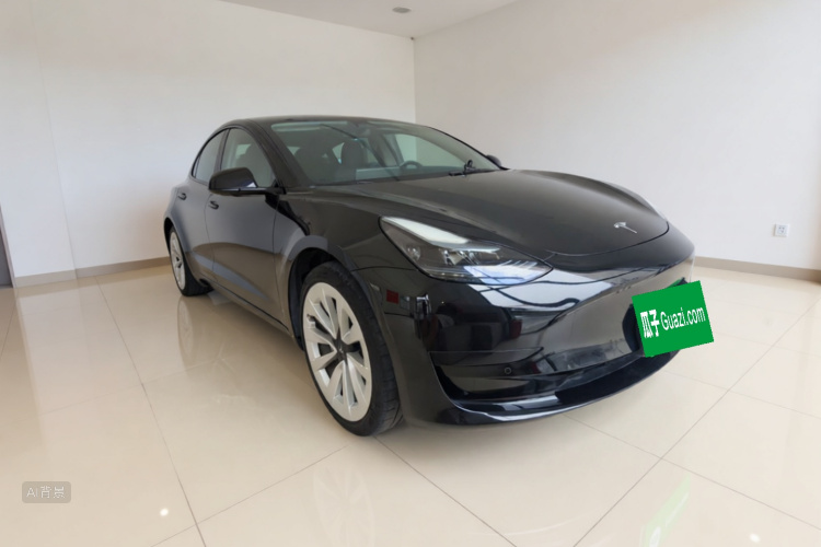 Tesla Model 3 2023 car image #4