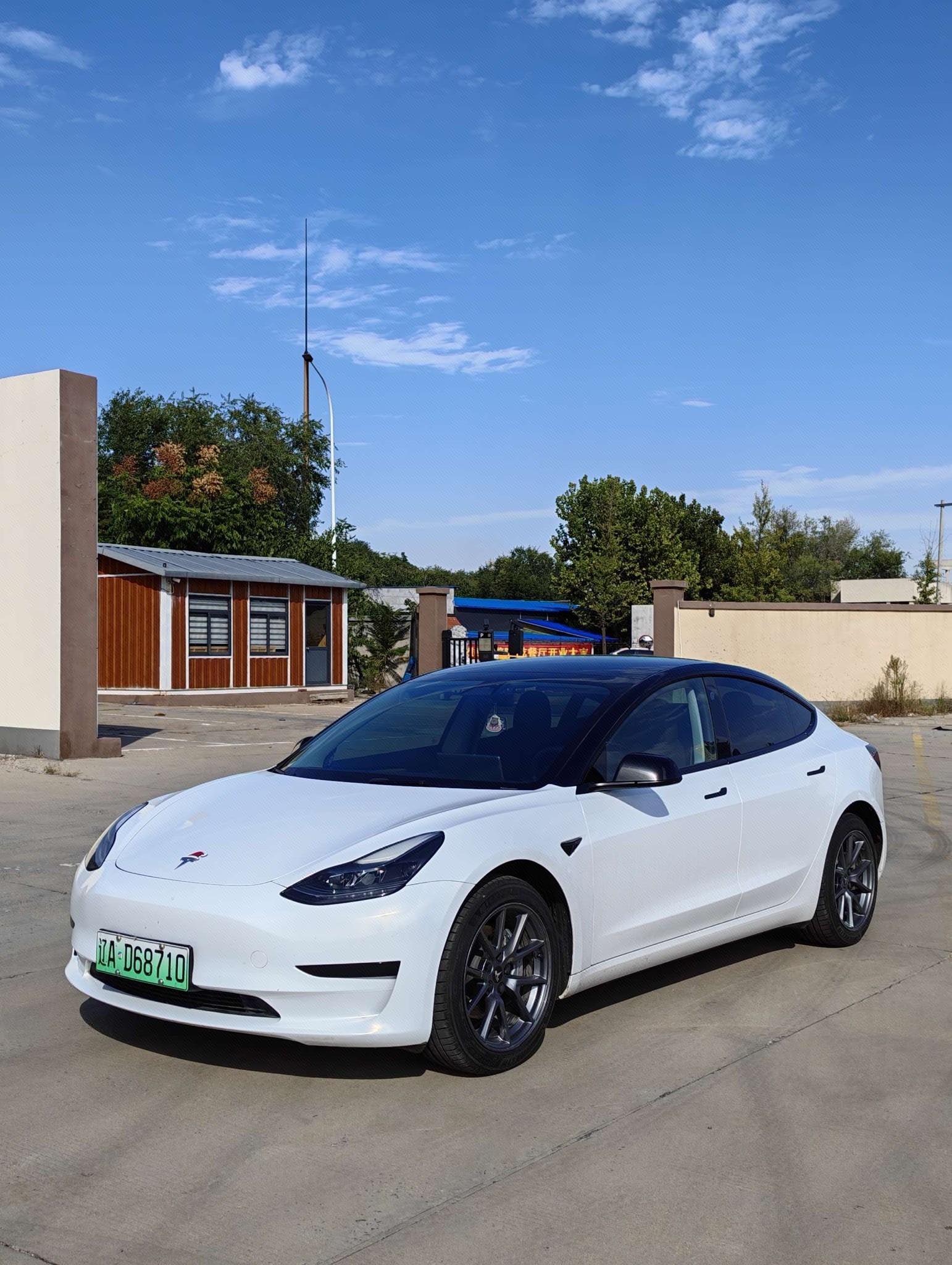 Tesla Model 3 2023 Tesla Model 3 2023 car image