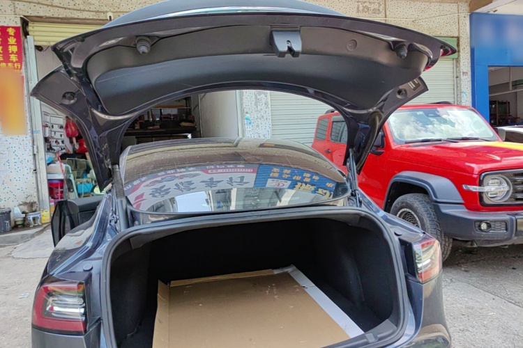 Tesla Model 3 2021 car image #19