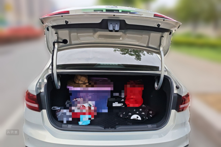 Volkswagen Lavida 2022 car image #21