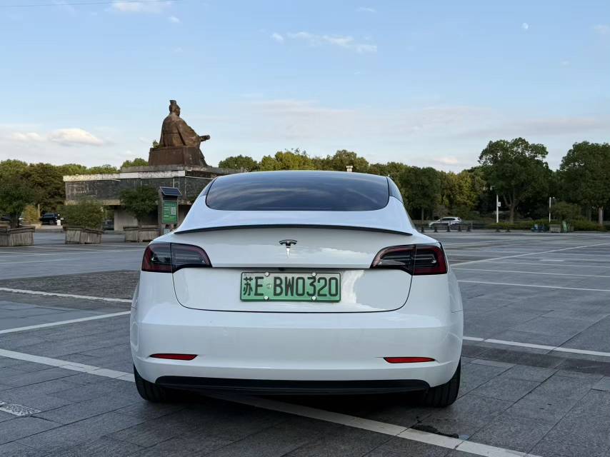 Tesla Model 3 2021 #6 Tesla Model 3 2021 изображение автомобиля #6