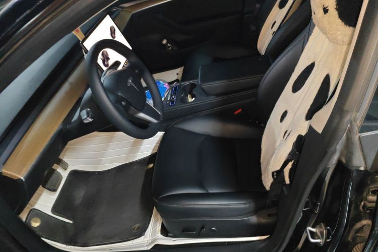 Tesla Model 3 2022 car image #15