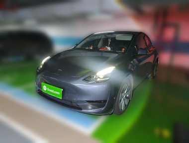 Tesla Model Y 2022 Tesla Model Y 2022 car image