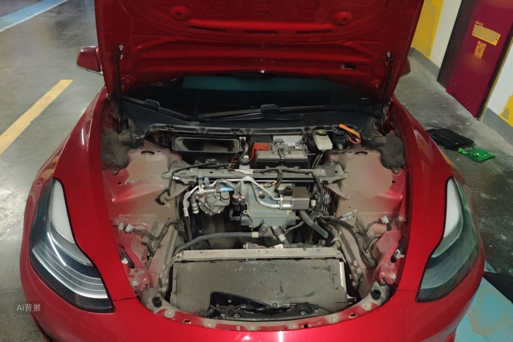 Tesla Model 3 2020 #22 Tesla Model 3 2020 car image #22