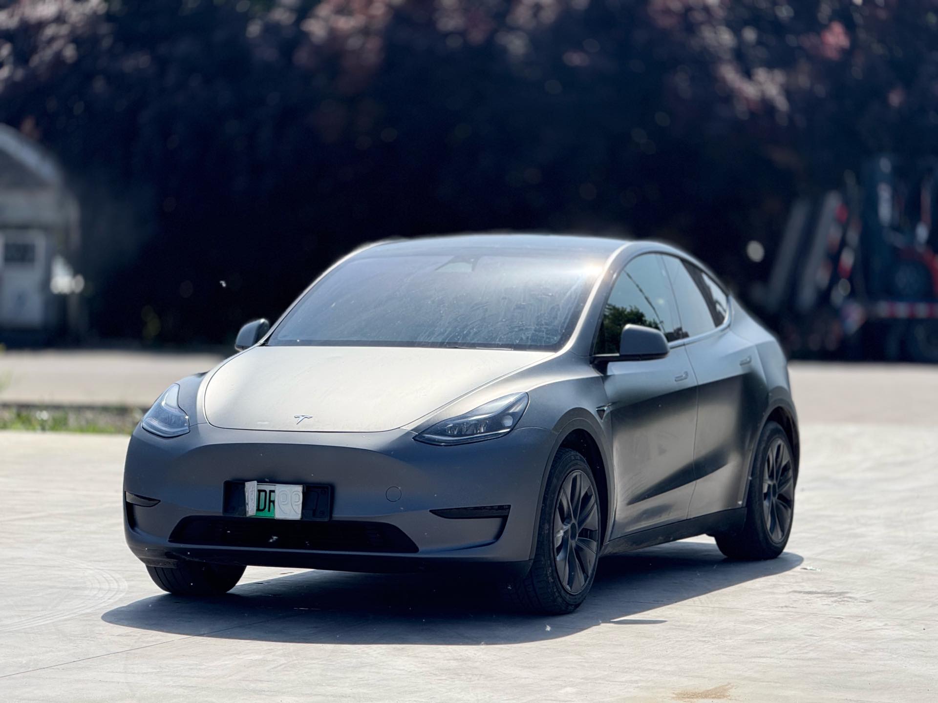 Tesla Model Y 2024 car image 