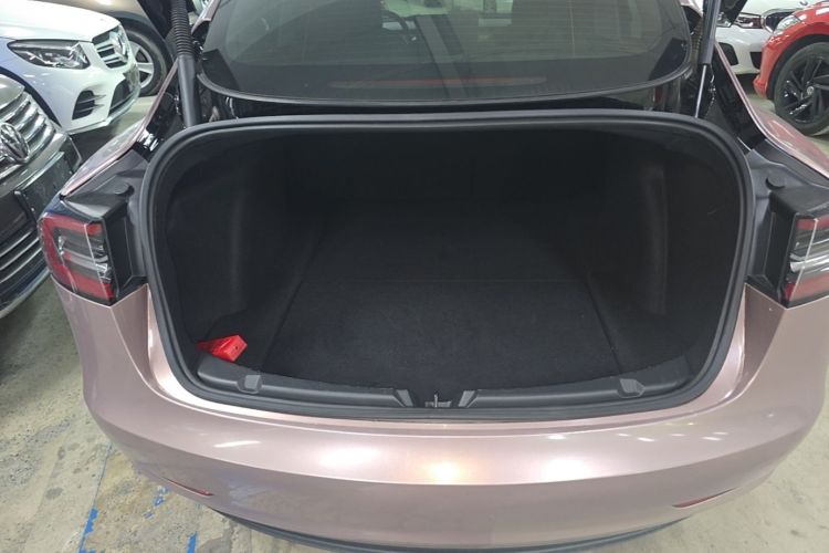 Tesla Model 3 2021 car image #19