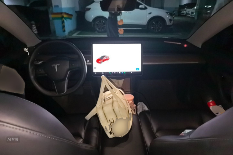 Tesla Model 3 2020 car image #11