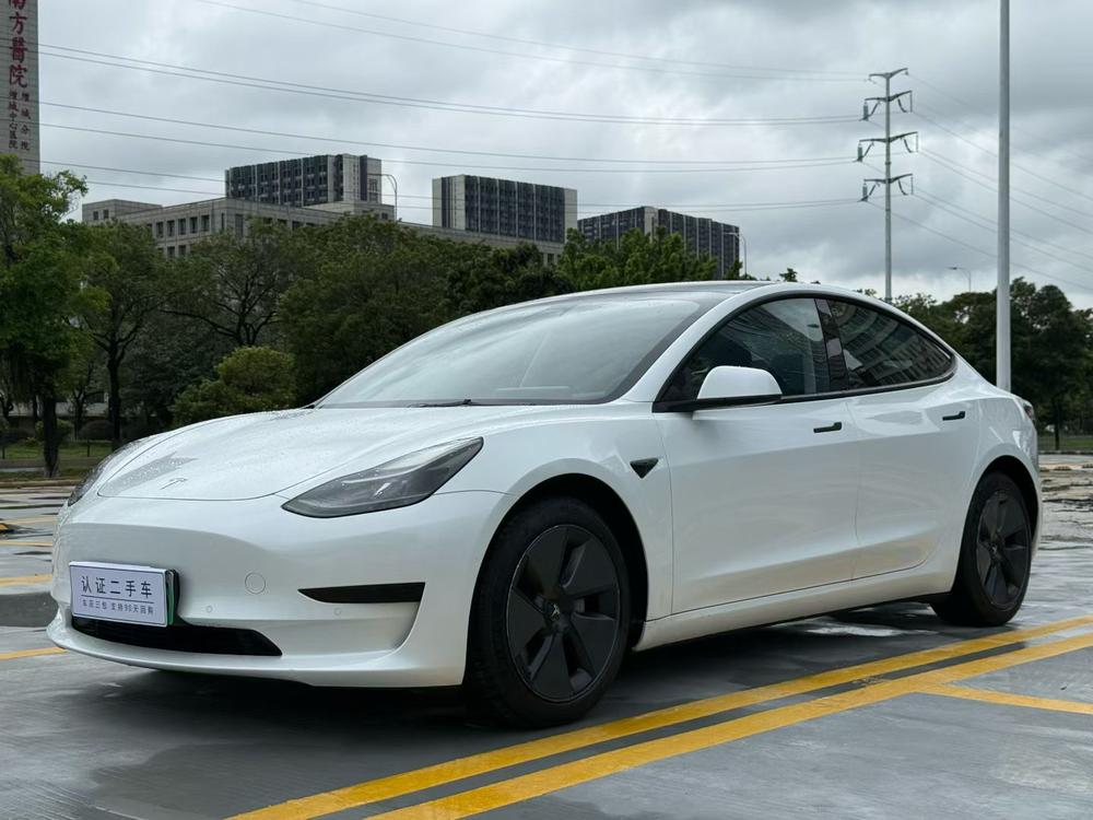 Tesla Model 3 2021 Tesla Model 3 2021 immagine di auto