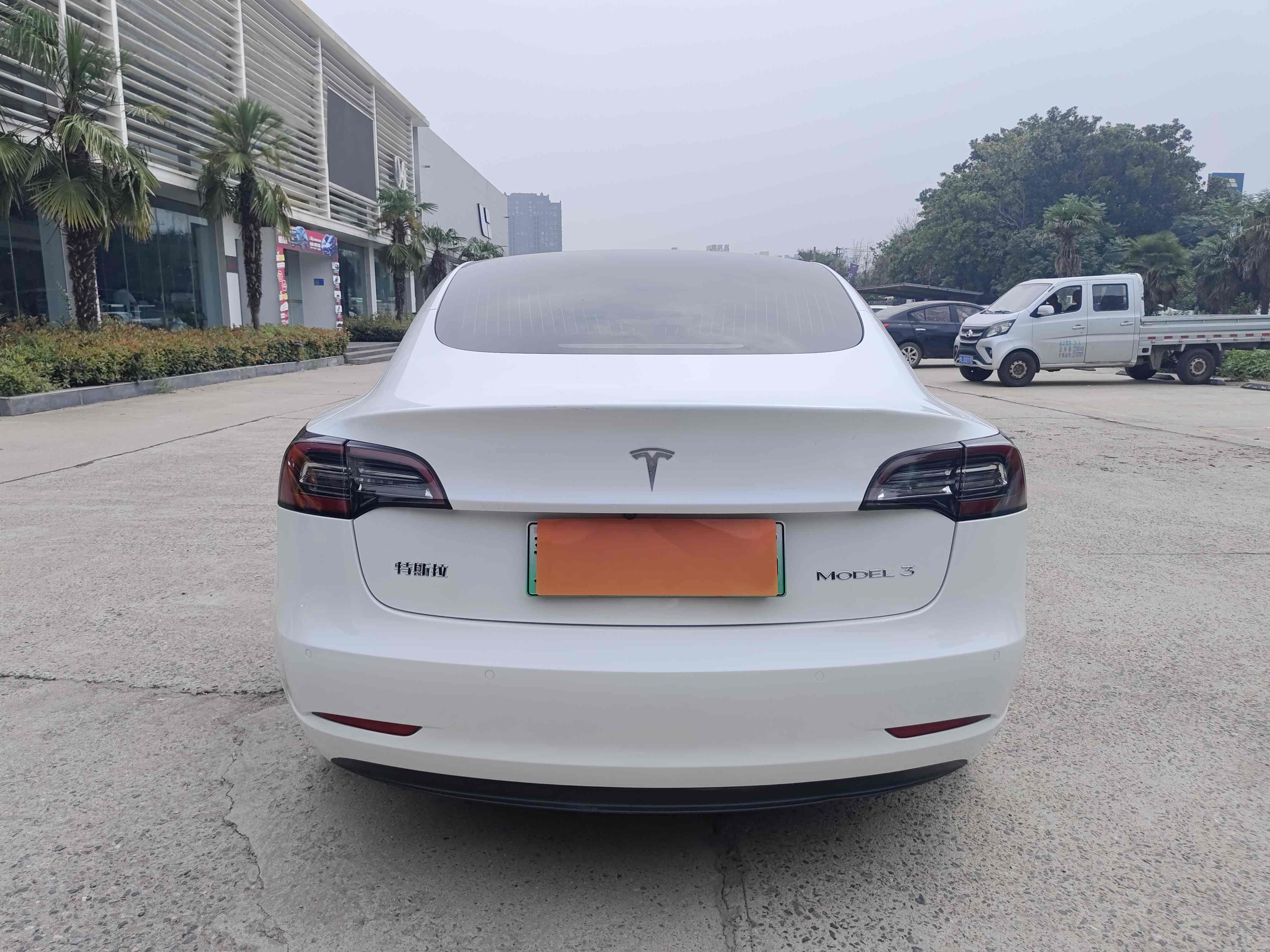 Tesla Model 3 2020 car image #6