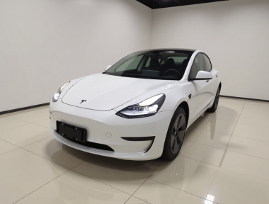 Tesla Model 3 2021 car image 