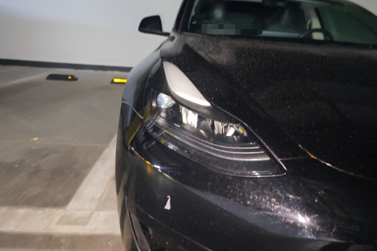 Tesla Model 3 2021 #8 Tesla Model 3 2021 car image #8