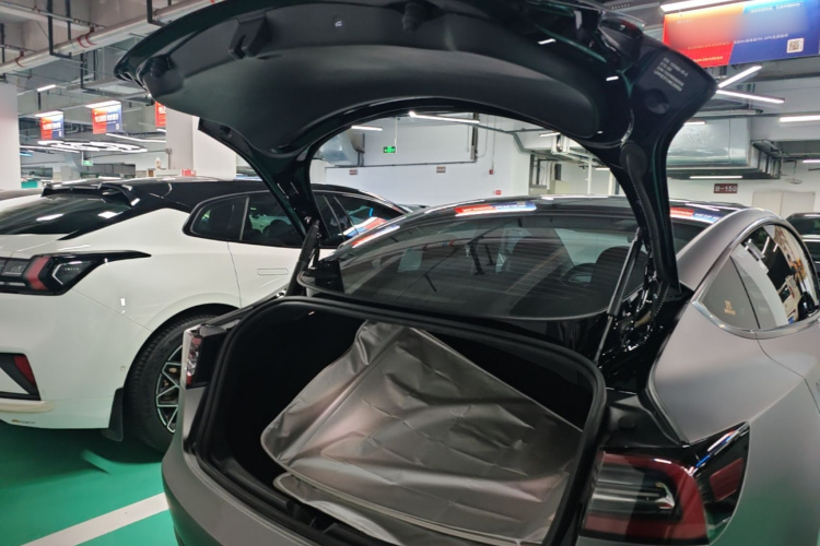 Tesla Model 3 2021 #19 Tesla Model 3 2021 car image #19