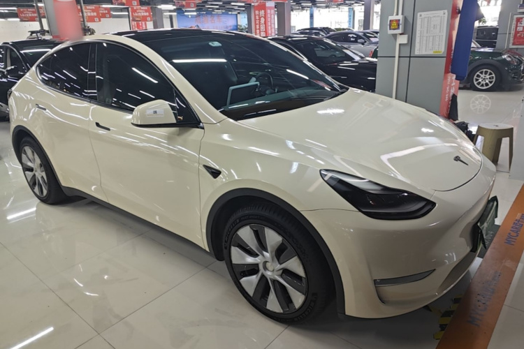 Tesla Model Y 2021 #6 Tesla Model Y 2021 car image #6