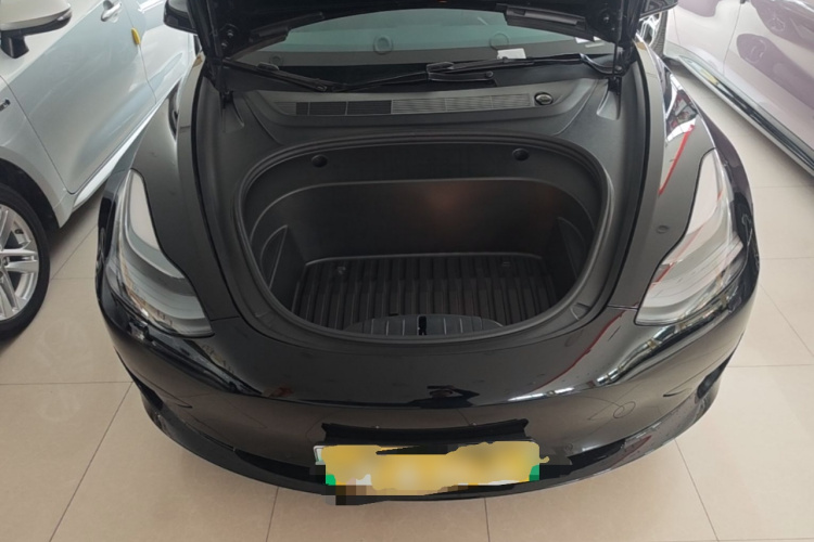 Tesla Model 3 2021 imagem de carro #20