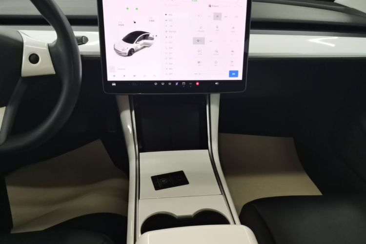 Tesla Model 3 2020 car image #13