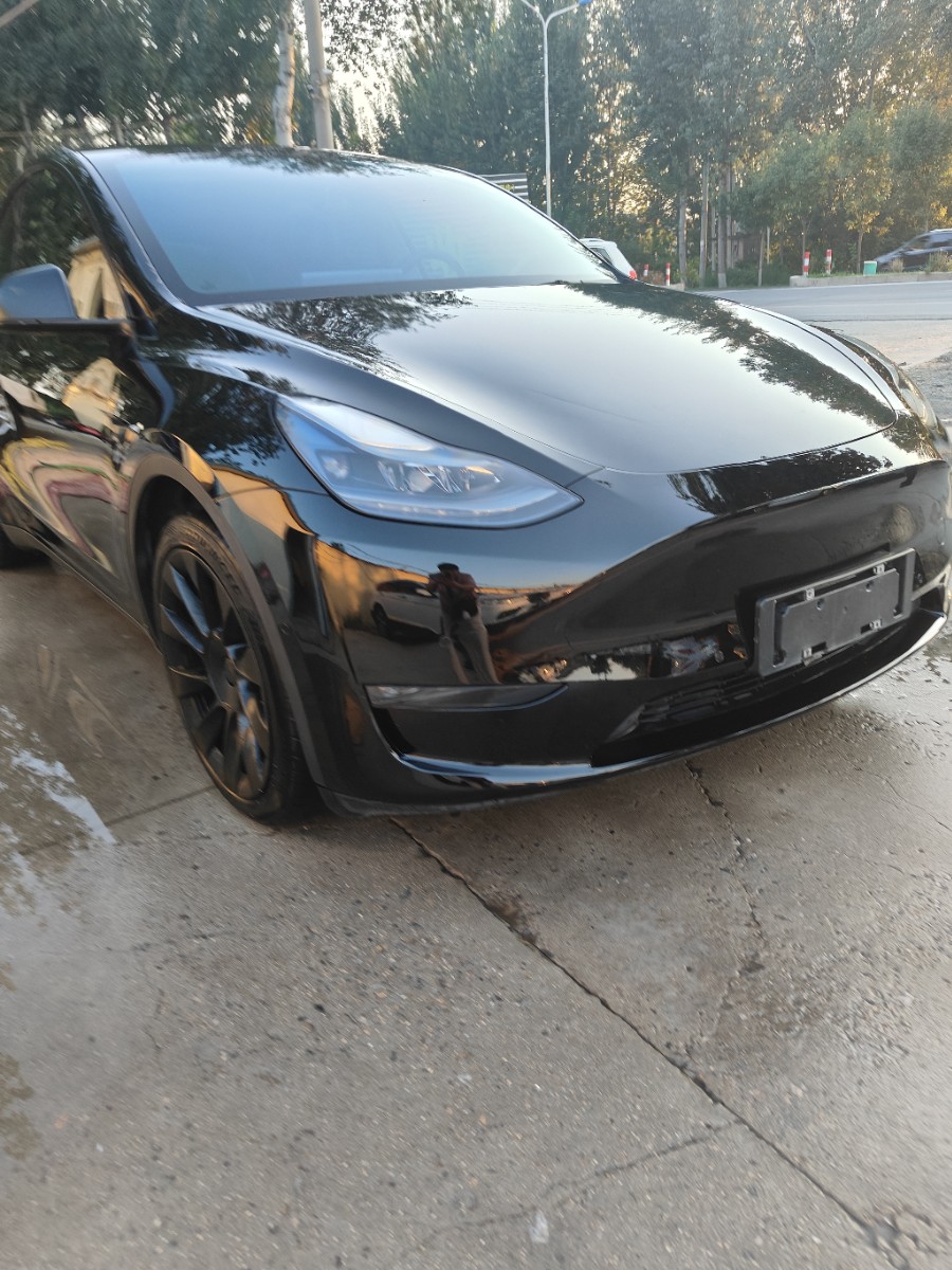 Tesla Model Y 2021 car image #3