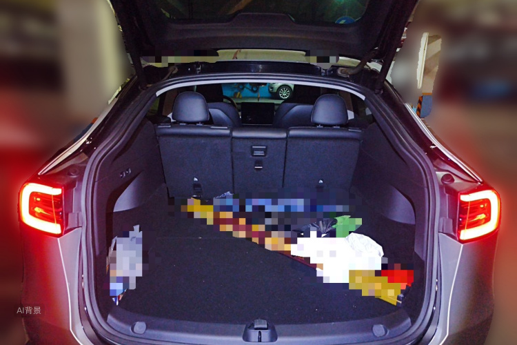 Tesla Model Y 2021 car image #21