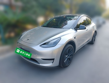 Tesla Model Y 2024 car image 