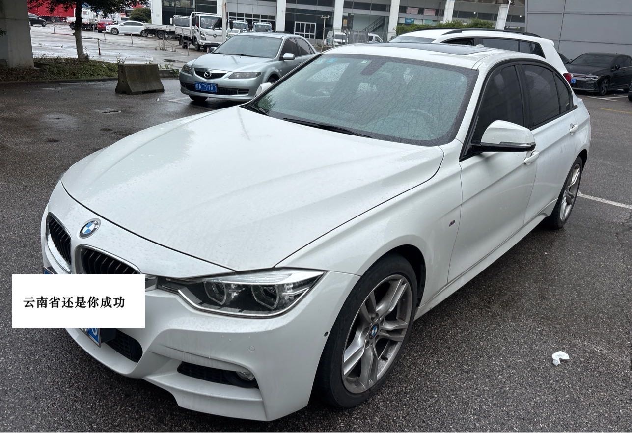 BMW 3 Series 2017 car image 
