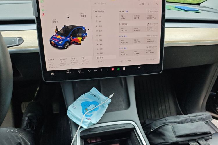 Tesla Model Y 2021 #15 Tesla Model Y 2021 car image #15