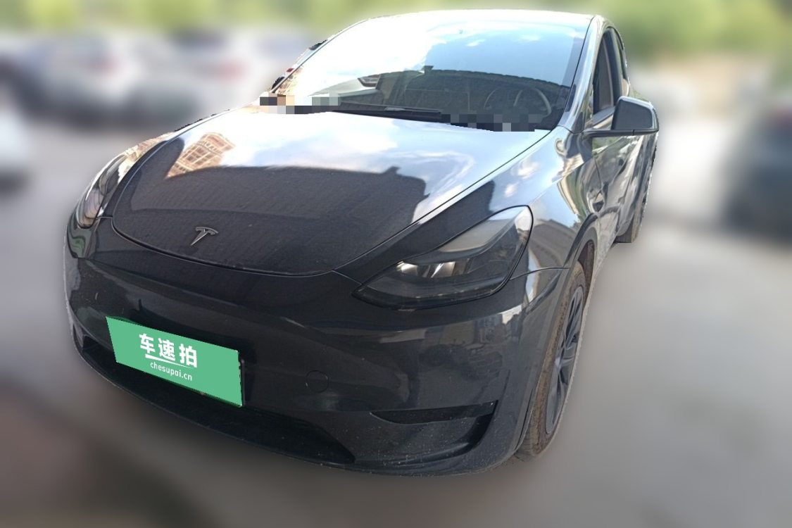 Tesla Model Y 2024 car image 