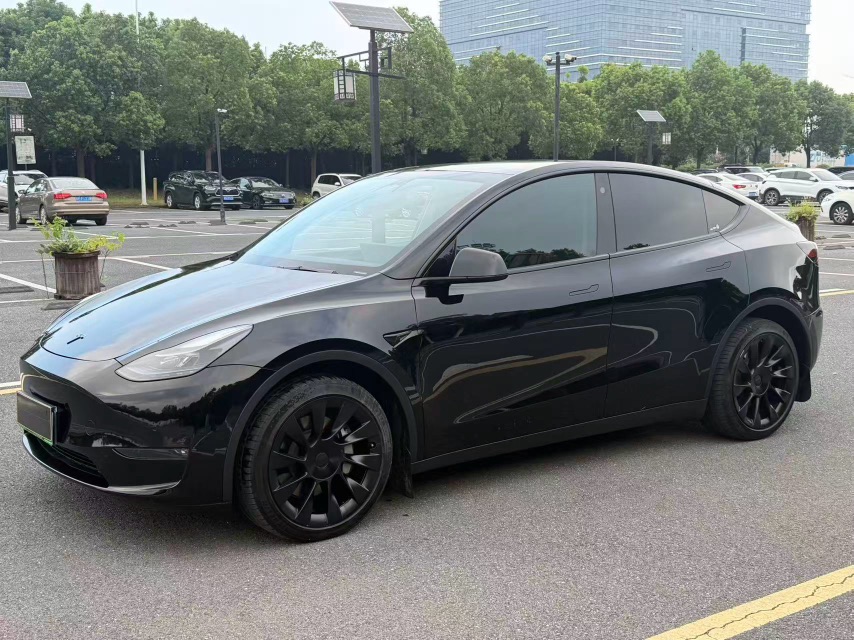 Tesla Model Y 2024 Tesla Model Y 2024 car image