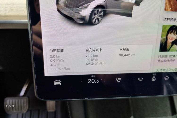 Tesla Model Y 2021 car image #14