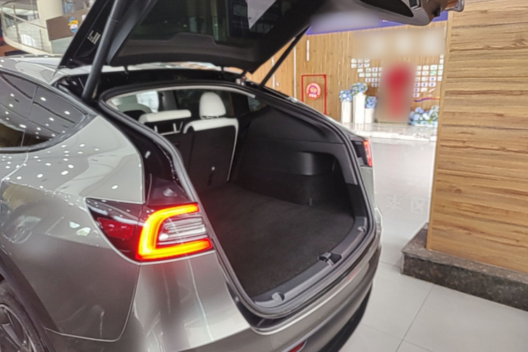 Tesla Model Y 2022 car image #19