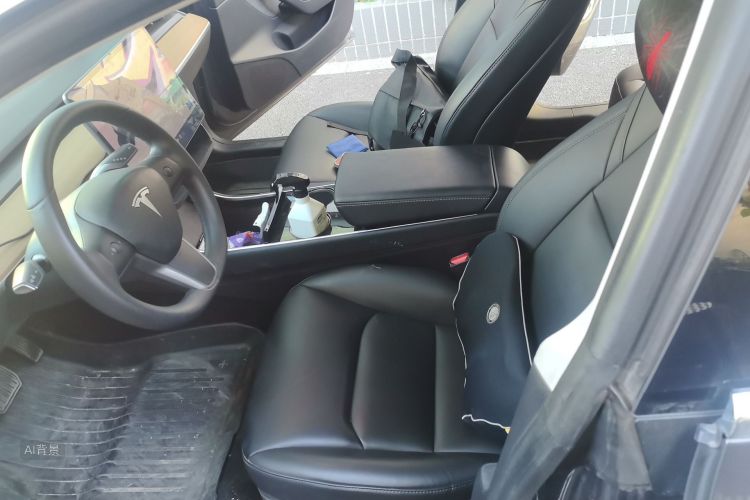 Tesla Model 3 2020 immagine di auto #17