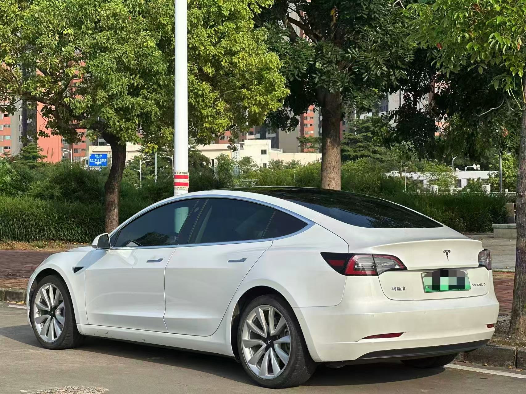 Tesla Model 3 2020 car image #8