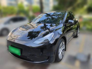 Tesla Model Y 2023 Tesla Model Y 2023 car image