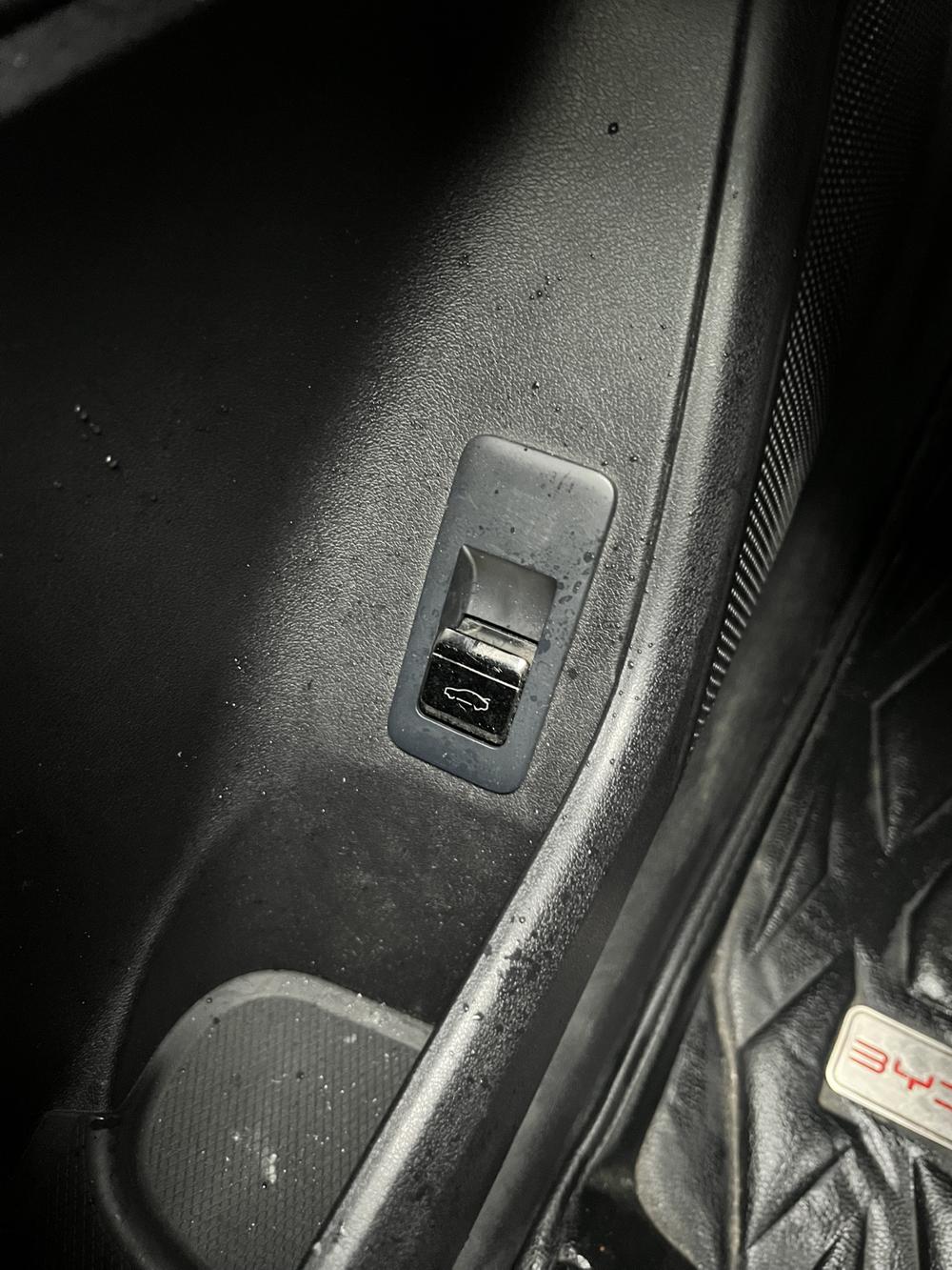 BYD Han 2022 #28 BYD Han 2022 immagine di auto #28