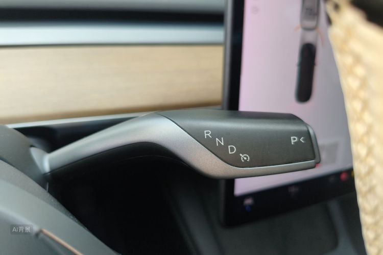 Tesla Model 3 2021 car image #16