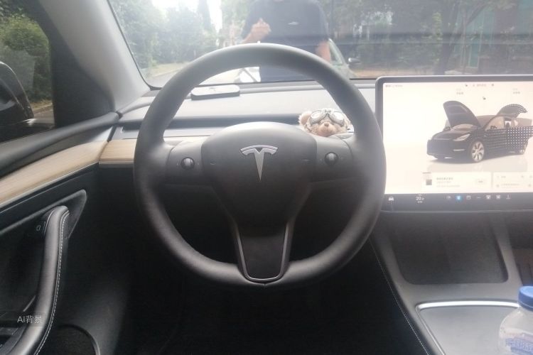 Tesla Model Y 2022 #12 Tesla Model Y 2022 car image #12