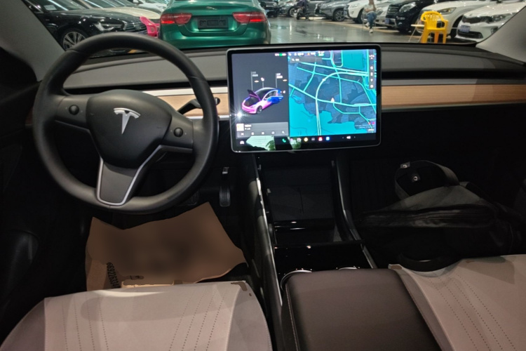 Tesla Model 3 2020 car image #10