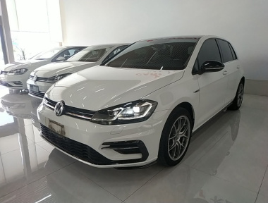 Volkswagen Golf 2019 Volkswagen Golf 2019 car image