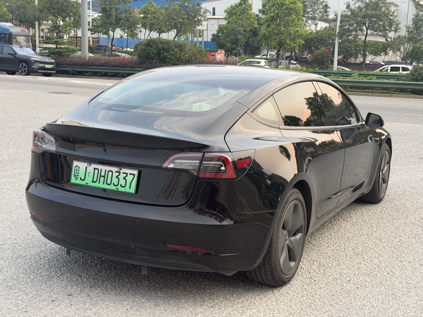 Tesla Model 3 2020 #3 Tesla Model 3 2020 car image #3