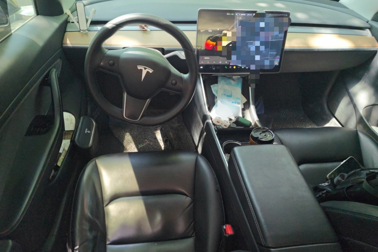 Tesla Model 3 2020 car image #7