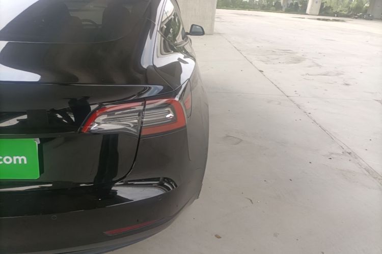 Tesla Model 3 2021 #8 Tesla Model 3 2021 car image #8